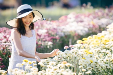 15 loại hoa 8/3 đẹp, ý nghĩa ‘đốn tim’ chị em phụ nữ