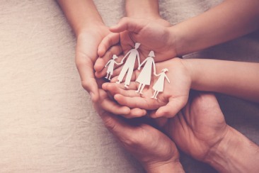 Thương, ghét bảo hiểm 