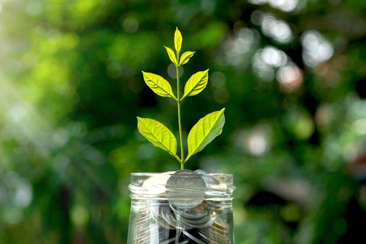 5 phương án đầu tư hiệu quả