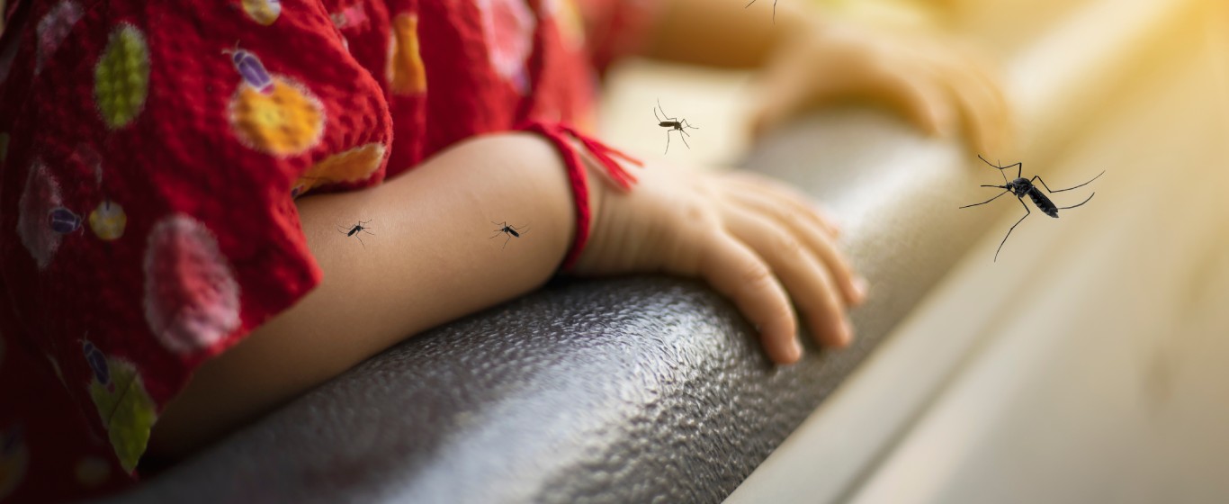 8 cách phòng bệnh sốt xuất huyết hiệu quả trong mùa mưa