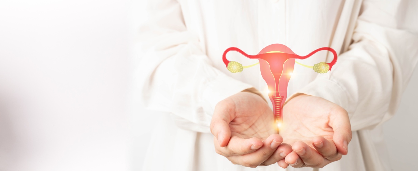 Nỗi lo của phụ nữ trẻ: suy buồng trứng sớm