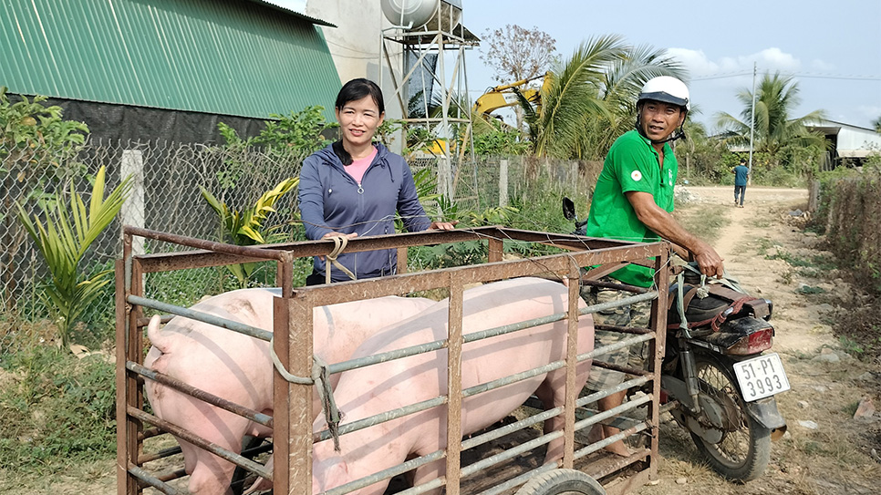 Hoạt động hỗ trợ sinh kế tại Bình Thuận
