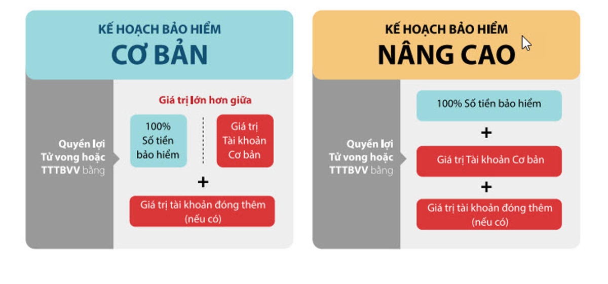 sơ đồ quyền lợi bảo hiểm và cách thanh toán phí bảo hiểm prudential bằng thẻ tín dụng
