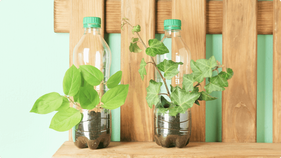 bai-viet-ap-dung-dung-5-chu-r-nay-song-xanh-zero-waste-khong-con-la-ly-thuyet-02