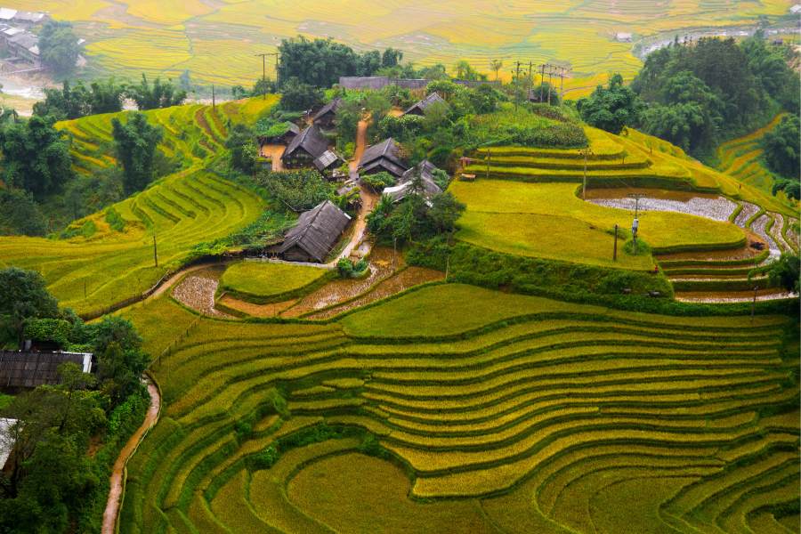 Du lịch hè gia đình: Top Lưu ý và Gợi ý thú vị