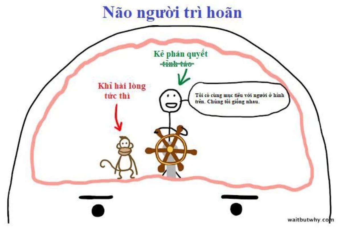 ke-hoach-nam-tren-ban-tuy-kho-qua-nhung-quyet-khong-de-tu-tu-1200x800-2