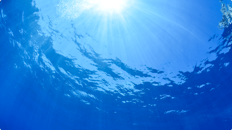 bai-viet-lieu-phap-chua-lanh-tam-trang-bang-mau-sac-02