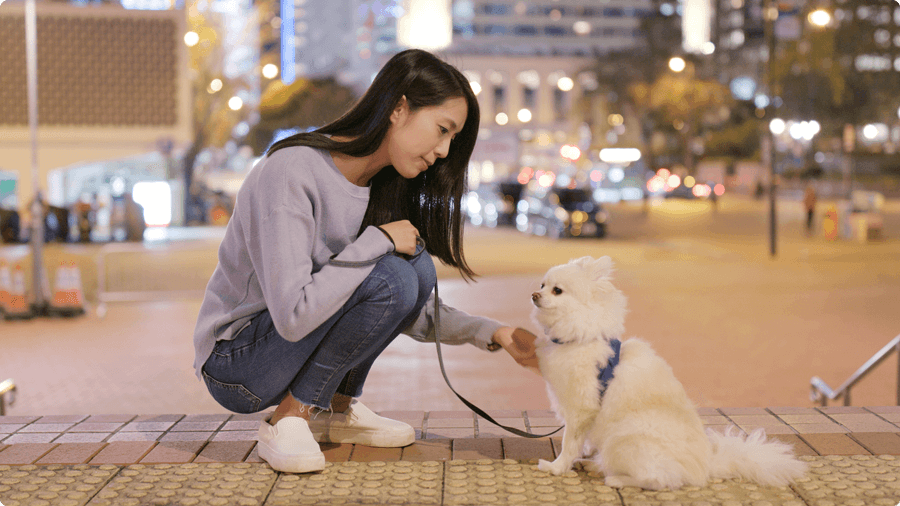 bai-viet-mot-ngay-ly-tuong-se-co-lich-trinh-the-nao-nhi-phan-2-01