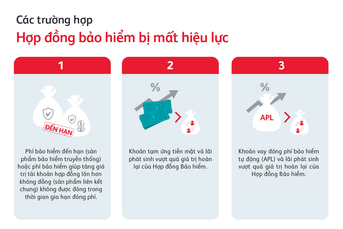 bai-viet-hop-dong-bao-hiem-nhan-tho-mat-hieu-luc-co-the-khoi-phuc-lai-duoc-khong.