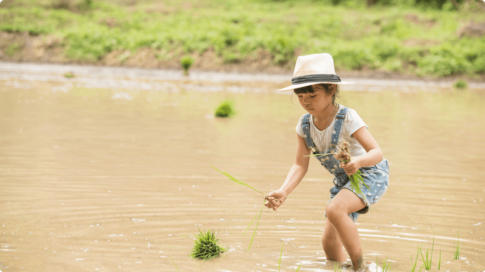 bai-viet-6-bi-quyet-day-con-ngoan-cua-cac-nha-tam-ly-hoc-dh-harvard-02
