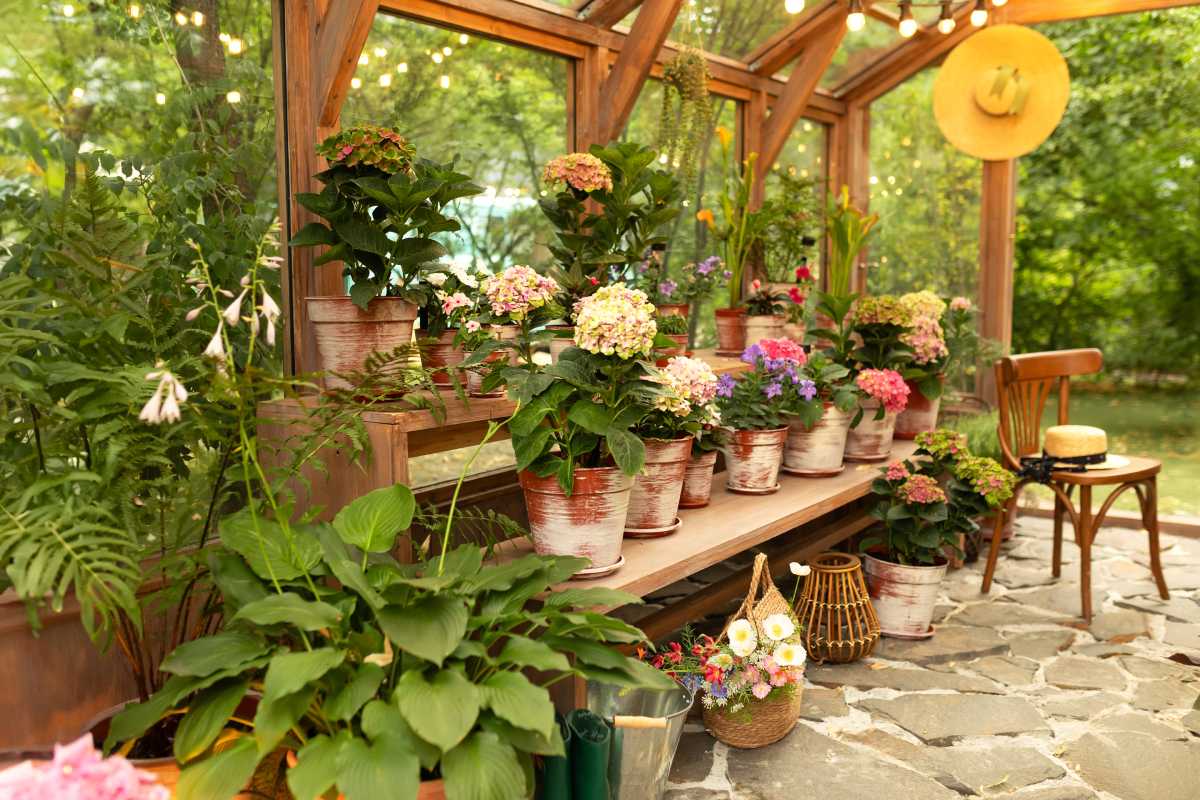 Vốn 100tr nên kinh doanh gì ở nông thôn dễ sinh lời, ít rủi ro?