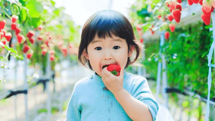 bai-viet-bi-quyet-de-tre-hinh-thanh-thoi-quen-an-uong-lanh-manh-02