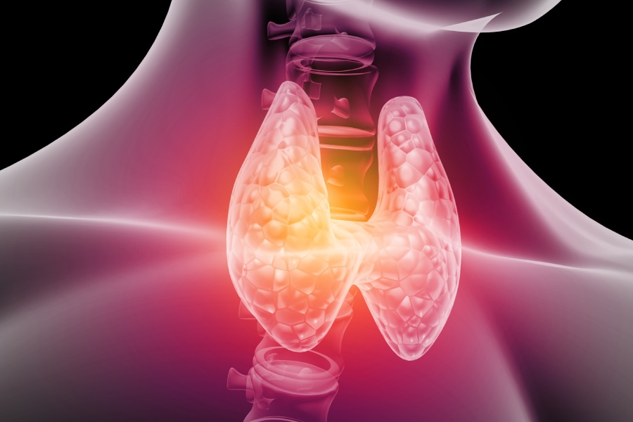 dung-chu-quan-voi-u-nang-tuyen-giap-1-1200x800-1